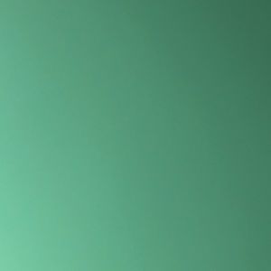 Meet your Posher, Mayra